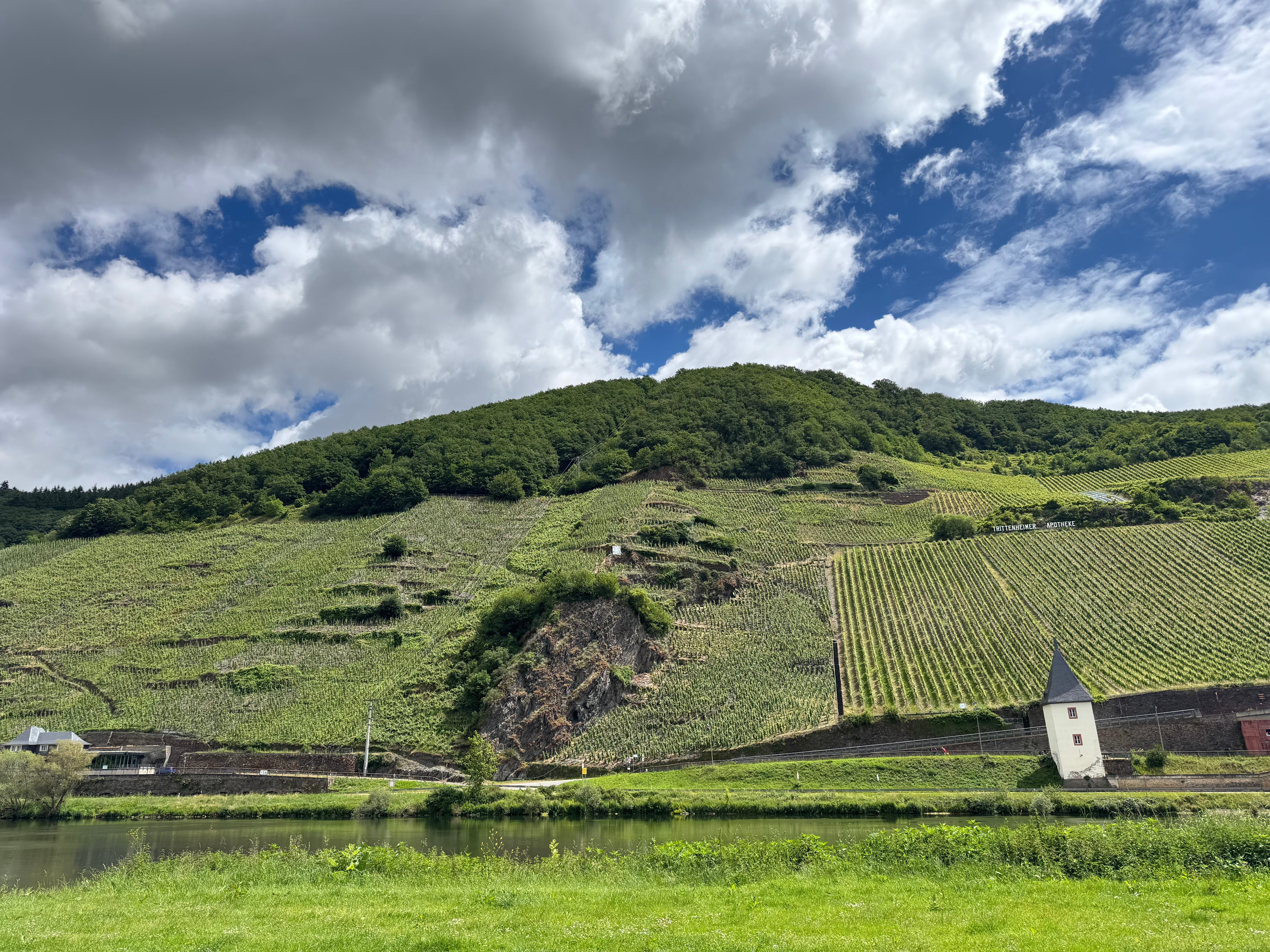 Natural wines of Germany
