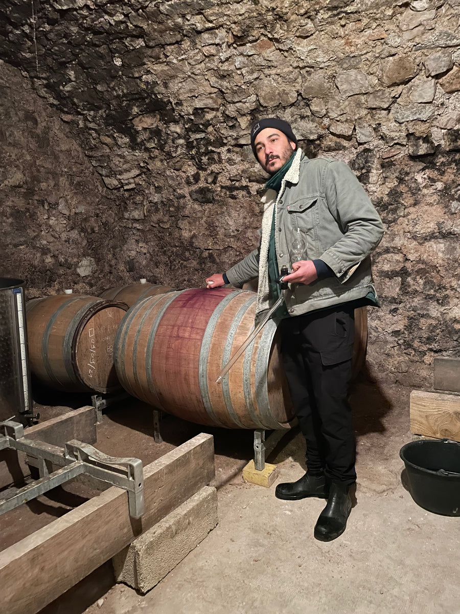 Barrel tasting of Myrko's various red wines