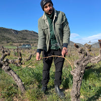 Myrko Tepus in the vineyards illustrating vineyard management